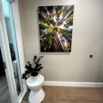Art in the waiting room at Fountaingrove Dentistry