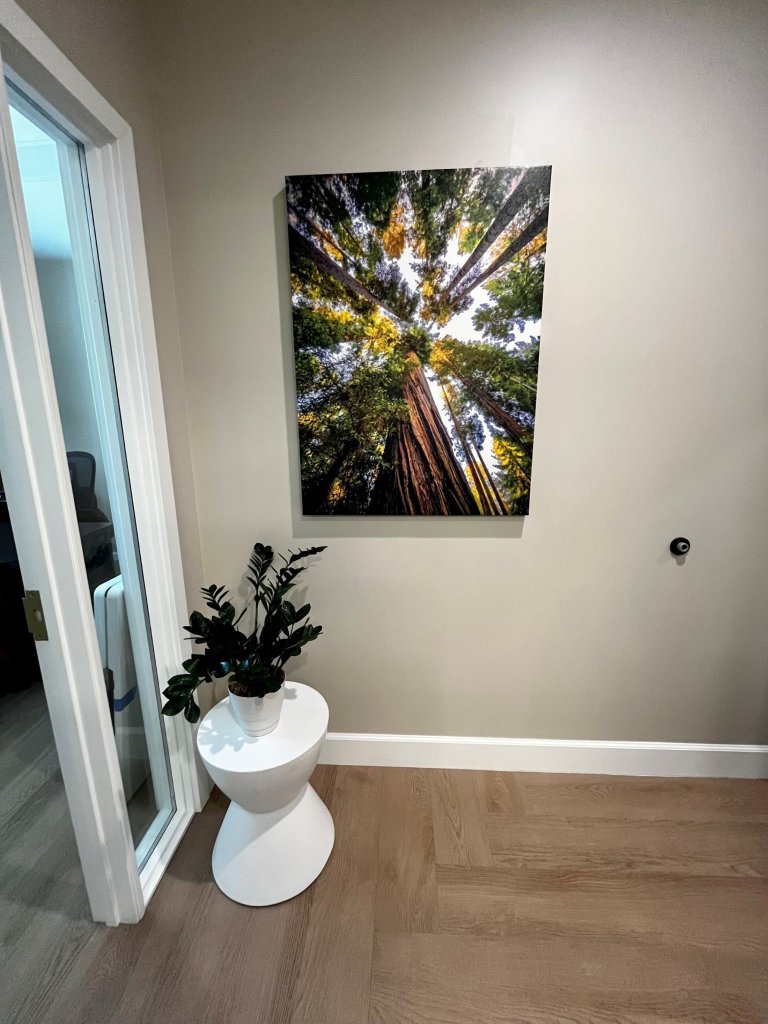 Art in the waiting room at Fountaingrove Dentistry